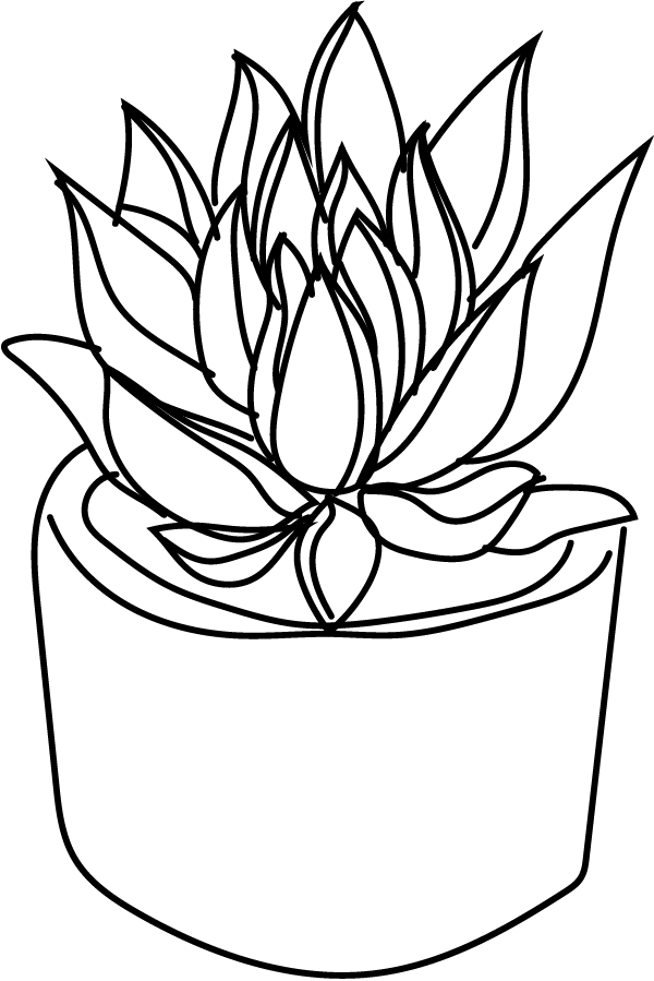 Plant-3